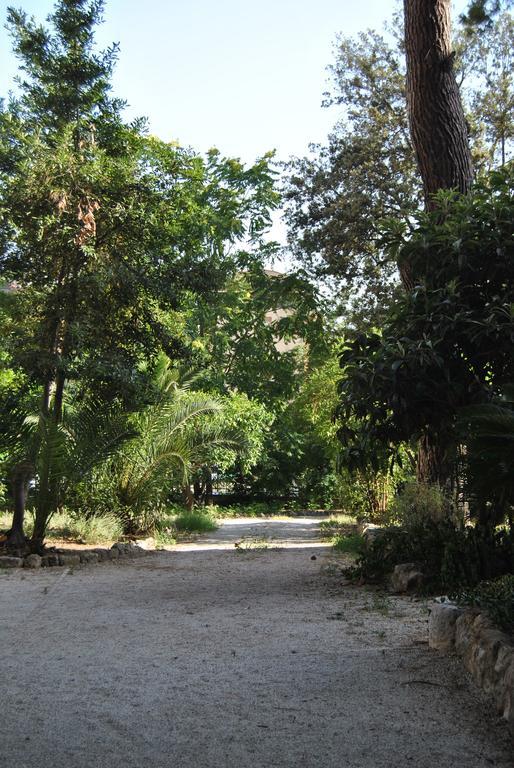 קלטניסטה Villa Fiocchi מראה חיצוני תמונה
