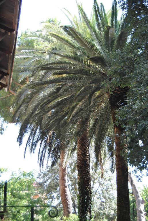 קלטניסטה Villa Fiocchi מראה חיצוני תמונה
