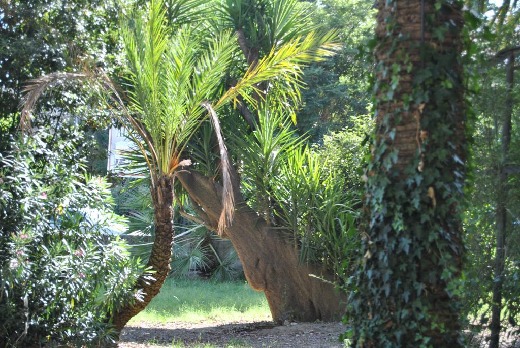 קלטניסטה Villa Fiocchi מראה חיצוני תמונה