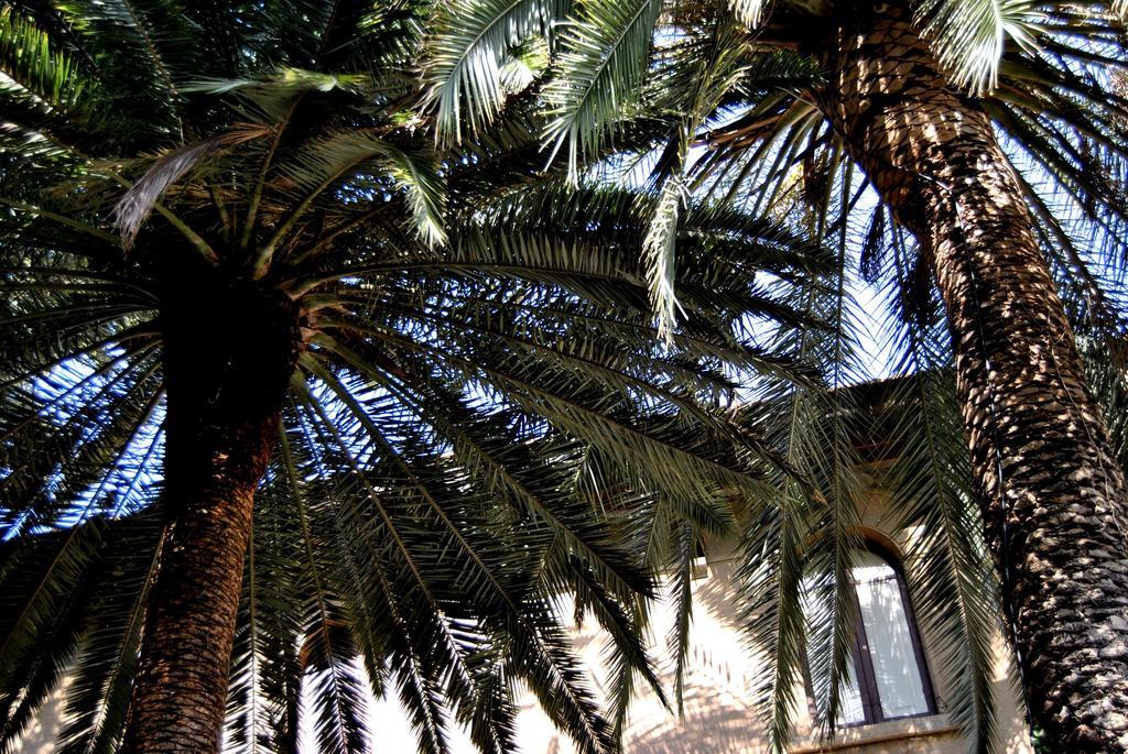 קלטניסטה Villa Fiocchi מראה חיצוני תמונה